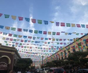 Lena Do ETW  Mexican Flags