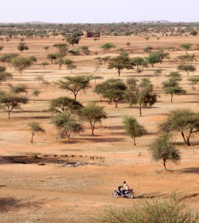 Youth Futures in the Sahel Workshop