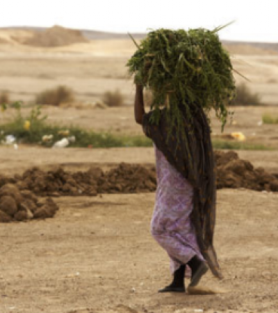 woman carrying crops