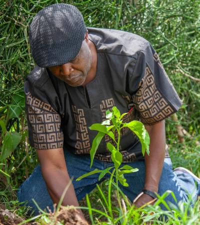 Ecology Working Group