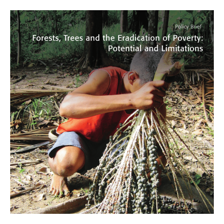 Forests, Trees and the Eradication of Poverty