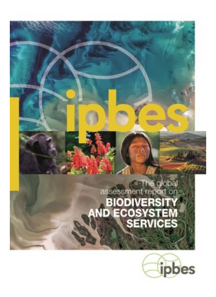 Global Assessment Report on Biodiversity and Ecosystem Services